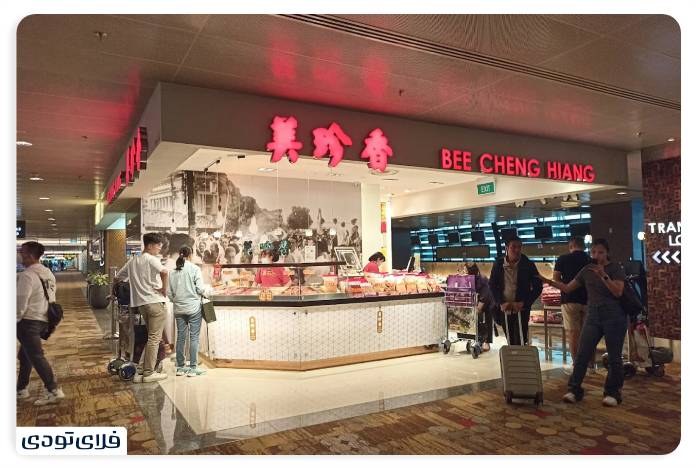 Introduction of Singapore Airport