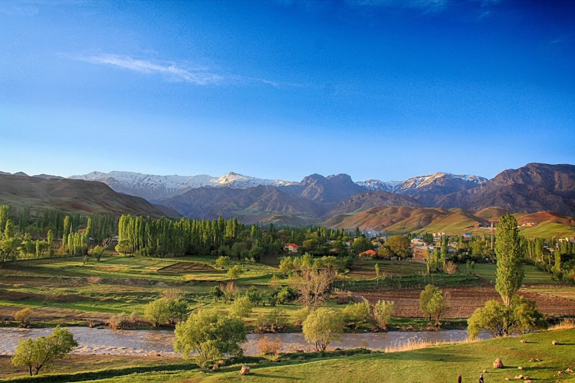 Trees and green fields of Taleghan city