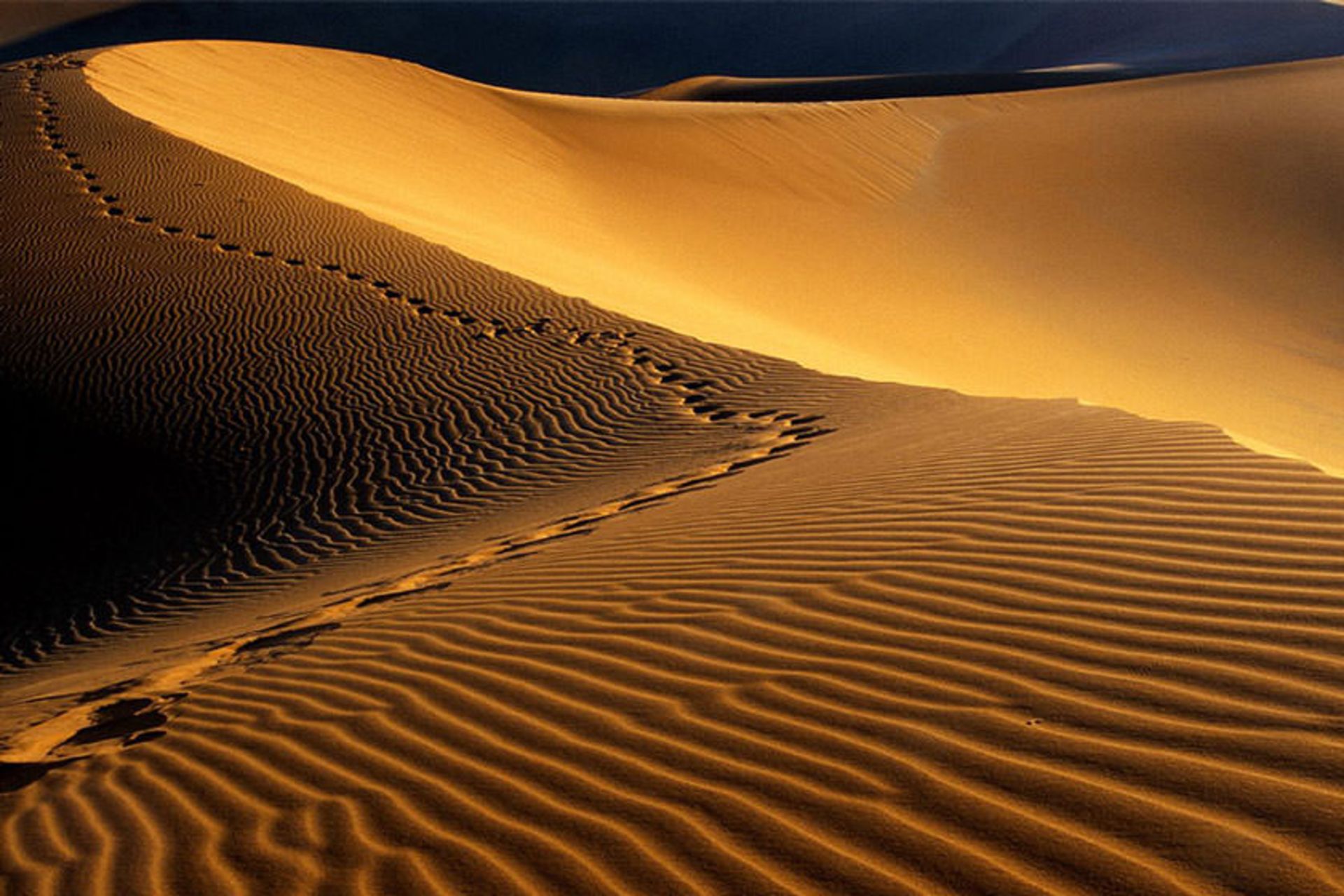 Human footprints on the sands of the desert plain