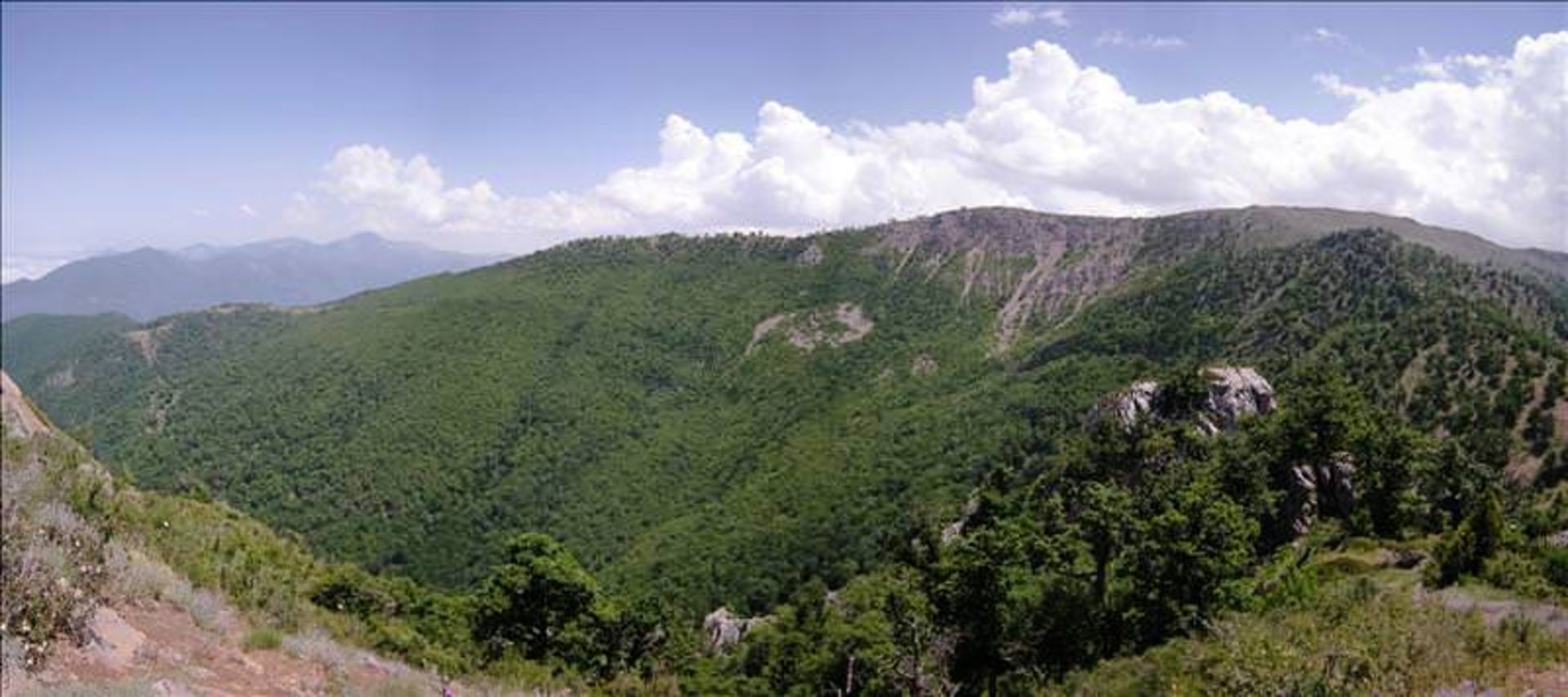 Lush vegetation of Tavar Narab mountain