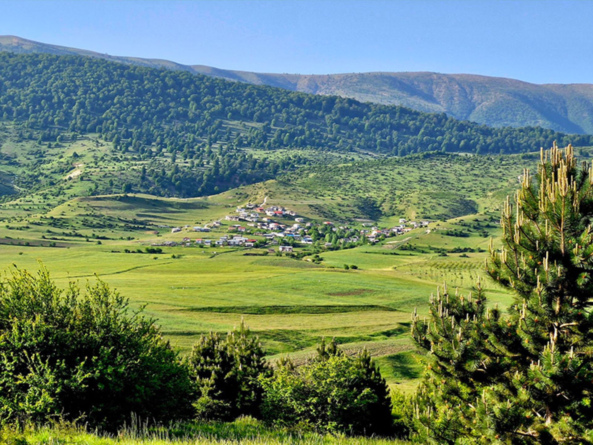 Enjoy the green nature of Jahan Nama protected area