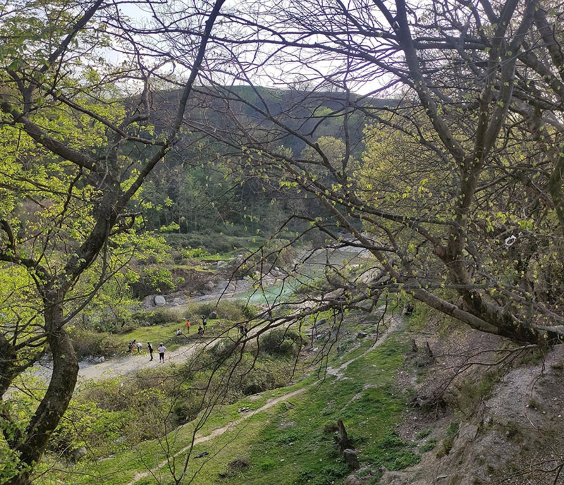 The nature and the river of Shast Kala forest of Gorgan