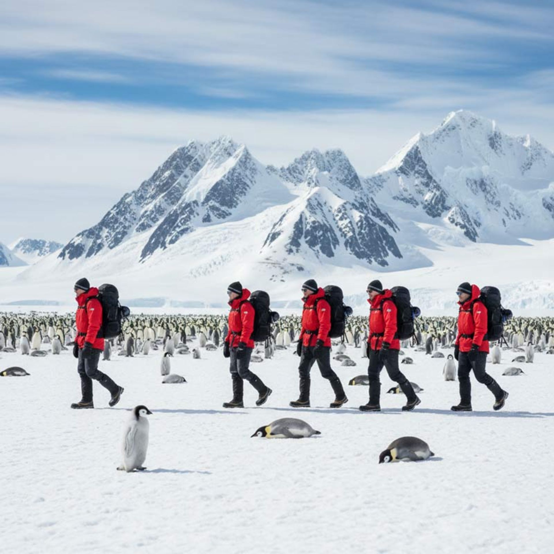 A group of tourists in special red clothes and black boots walking on the snow of Antarctica