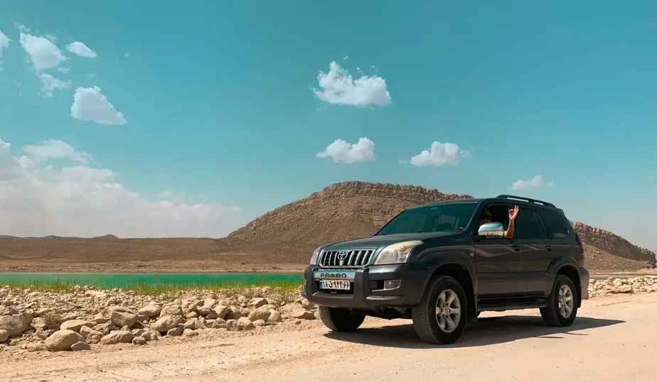 Distance from Bushehr to Kish by car