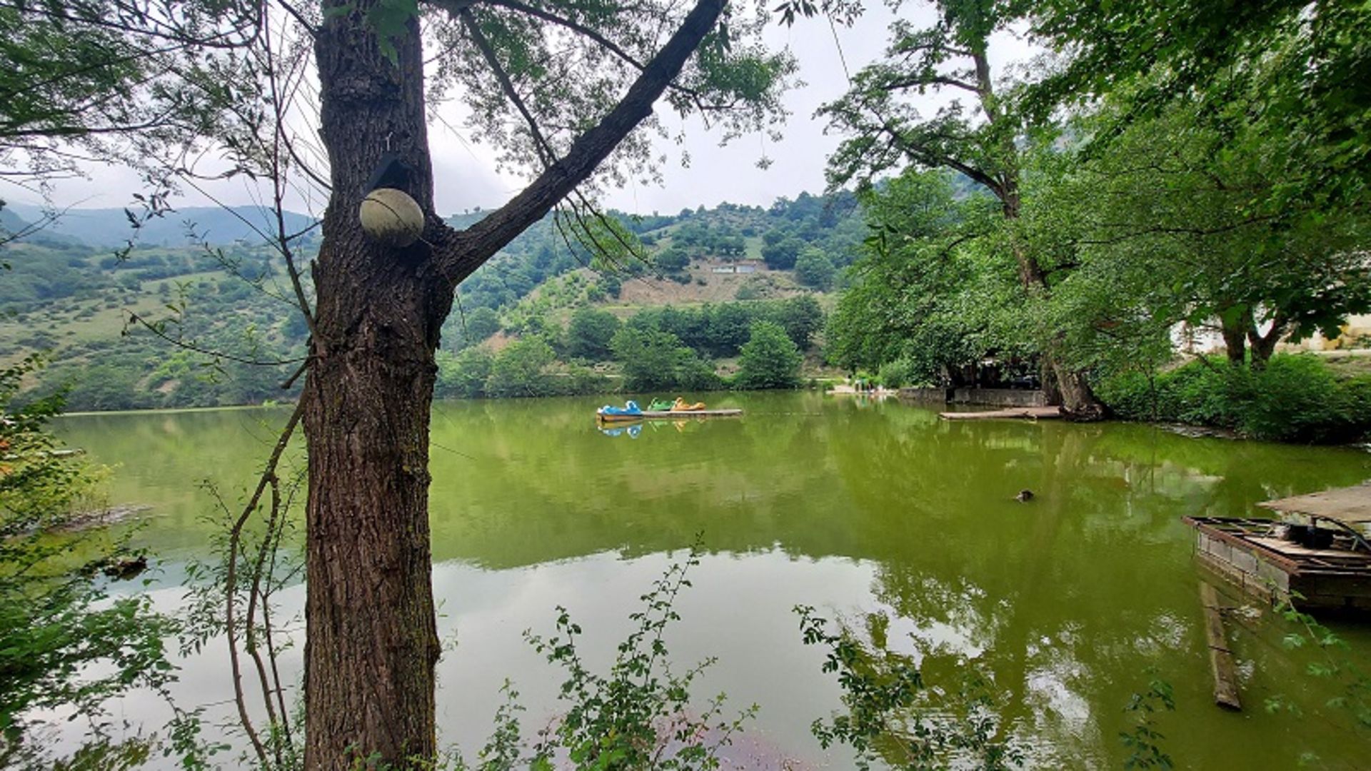 The green nature of Shurmest Lake