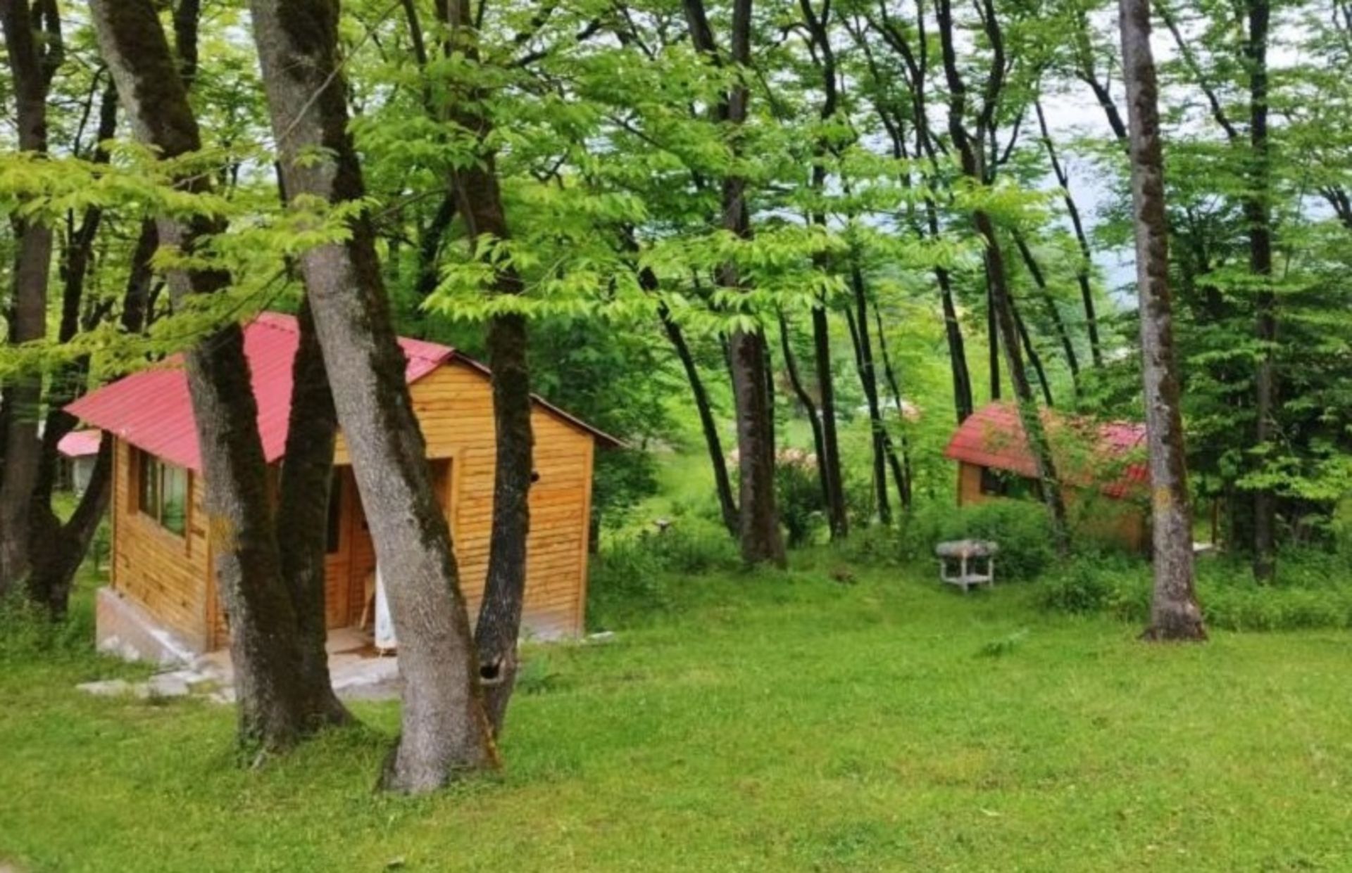 Accommodation cottages in Javaram forest