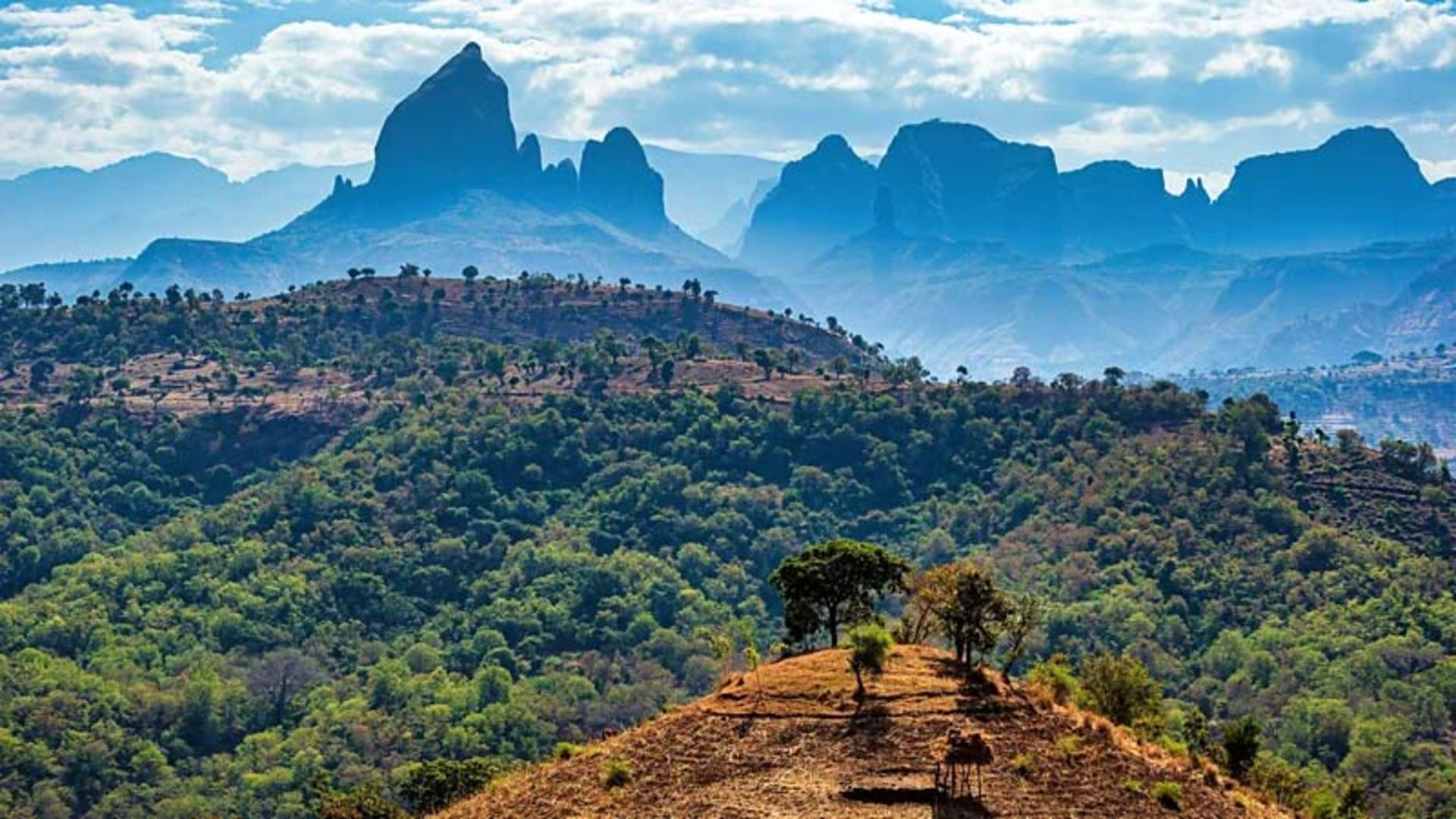 A wide view of the lush green hills of Ethiopia with high jagged mountain peaks.