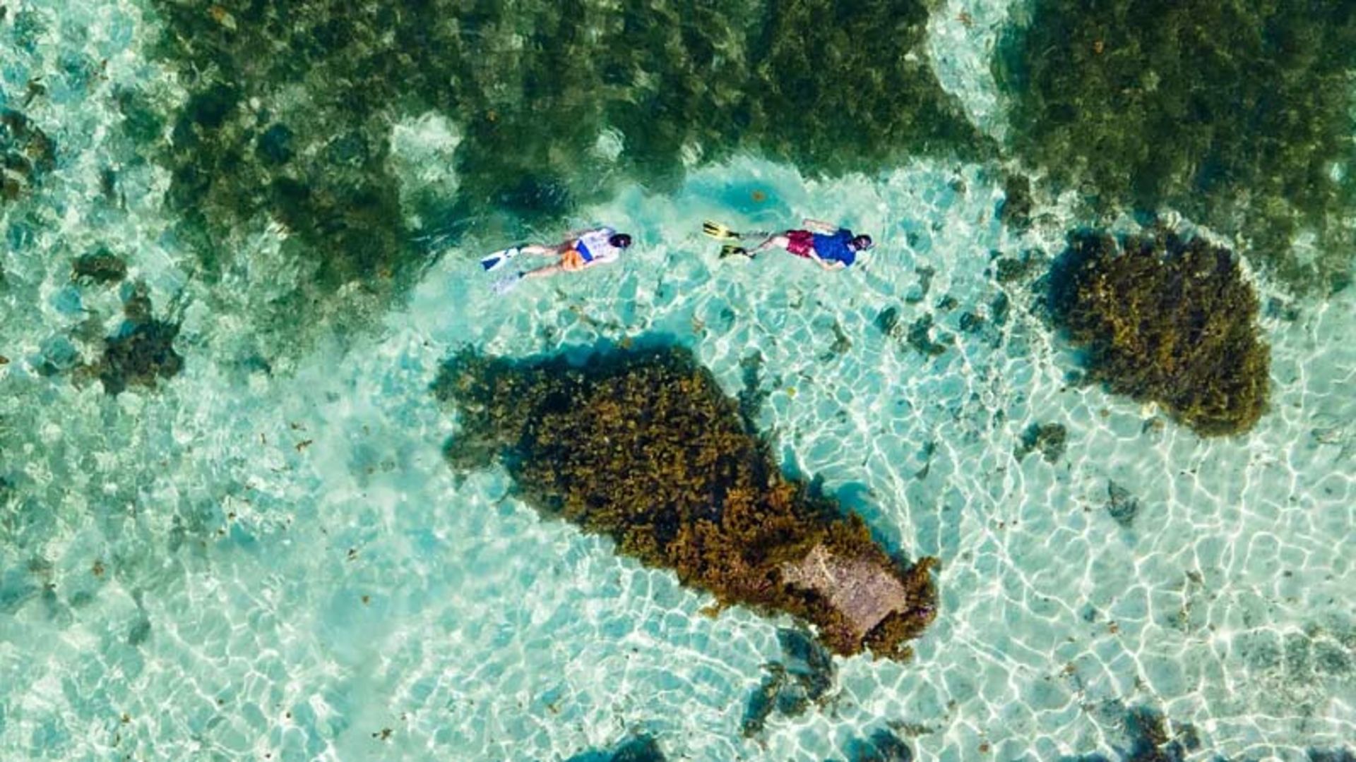 Vertical shot from above of two divers swimming in crystal clear turquoise water