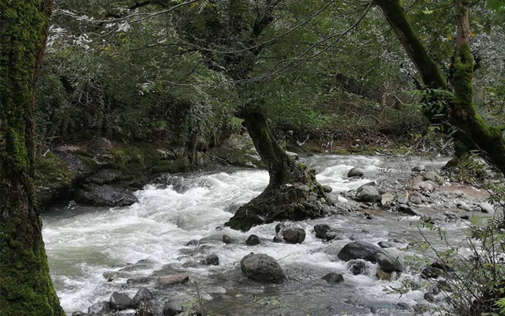 The watery flow of the river in the middle of the forest of Belvardkan village