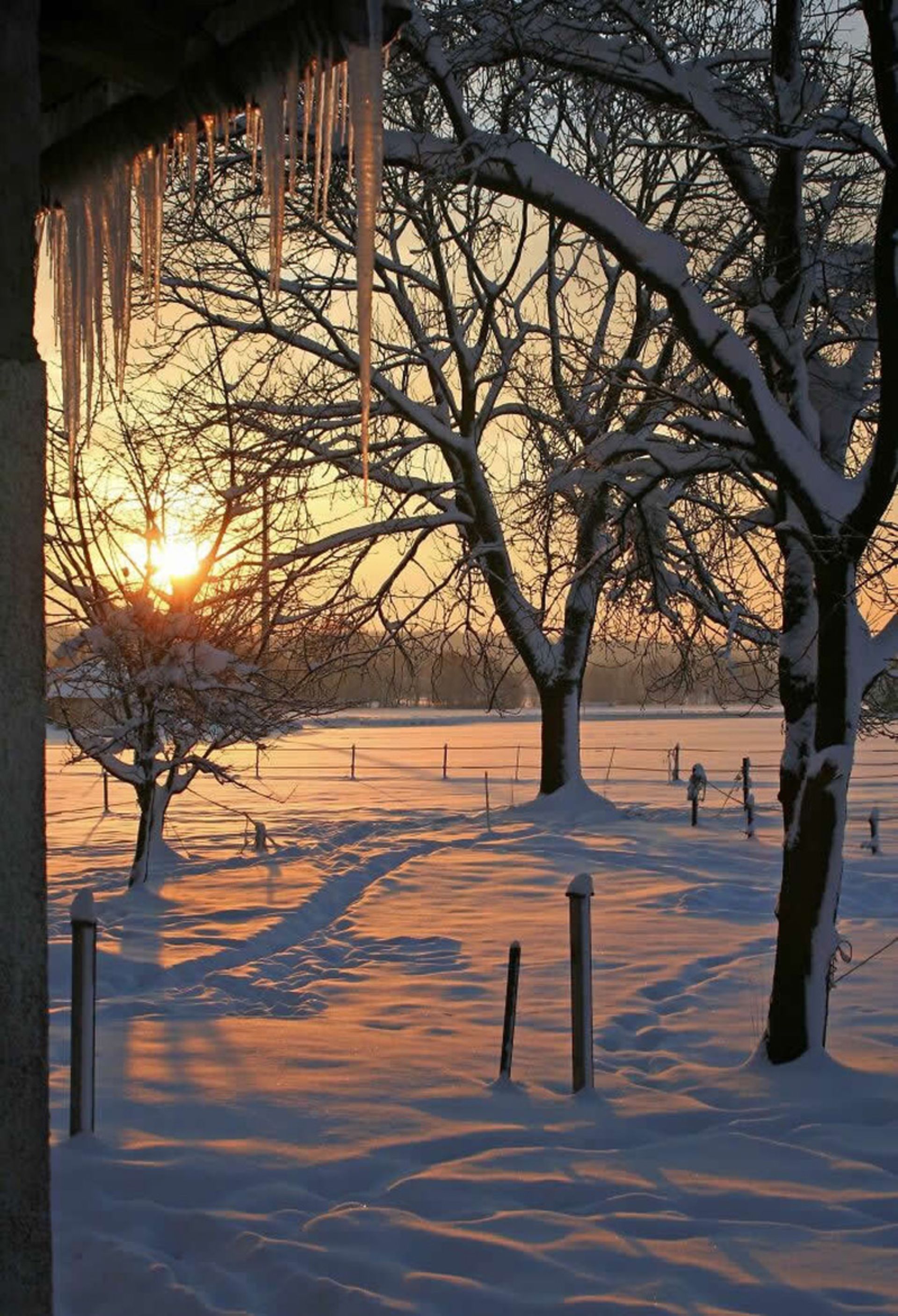 Sunrise on a winter morning