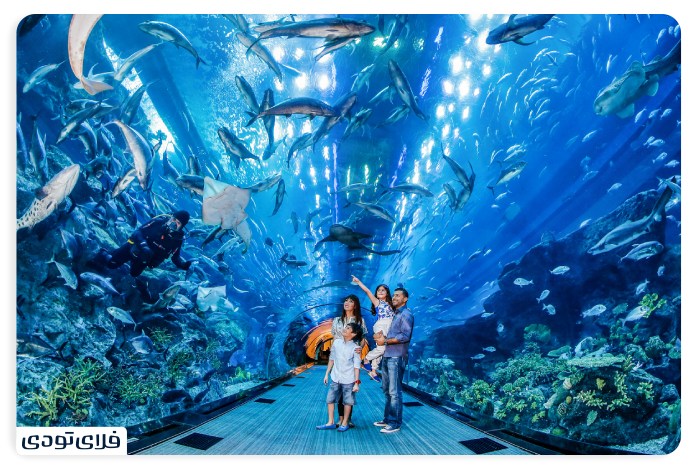 Travel to Dubai Dubai Aquarium