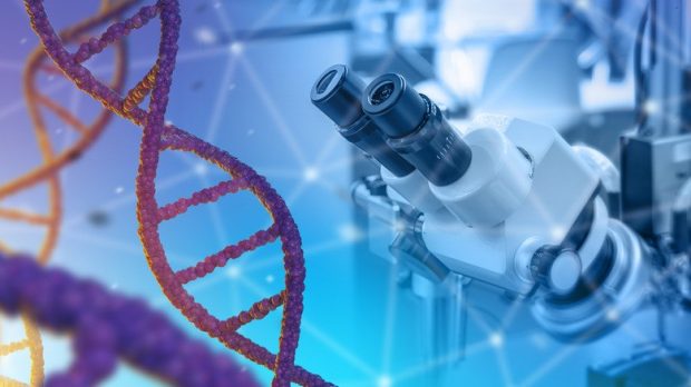 The most interesting pieces of technology that have been sent into space