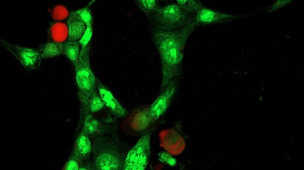 The most interesting pieces of technology that have been sent into space