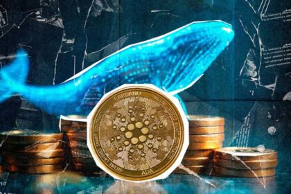 large-cardano-holders-add-819-million-ada-as-price-falls-71-