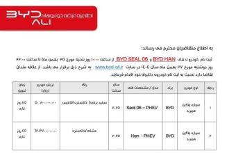 Terms of sale of BYD Seal 6 and Han cars