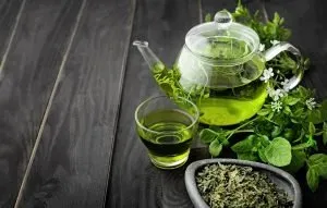 properties of green tea; All the amazing features of a magical brew