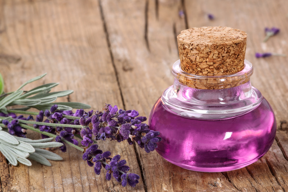 How to use lavender oil for hair