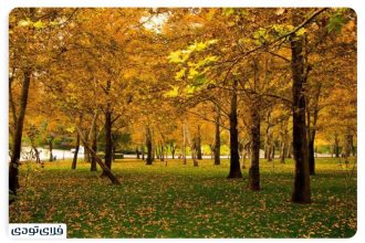 Bostan Mellat, Tehran