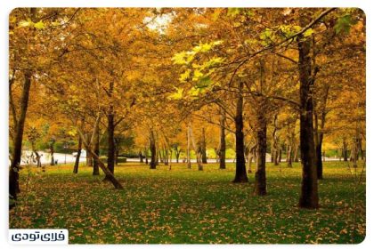 Bostan Mellat, Tehran