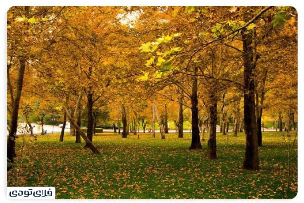 Bostan Mellat, Tehran