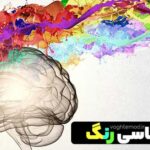 Colors are a factor in recognizing one's personality and that of others.