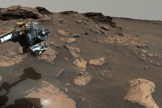 mars-organics-life-theory-fail