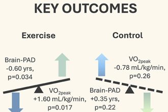 Scientists make a new discovery about the effect of exercise on the brain - diginoy