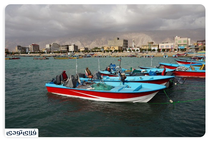 Introduction of honey