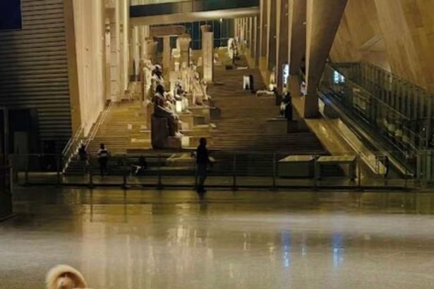 Dog in the Great Egyptian Museum