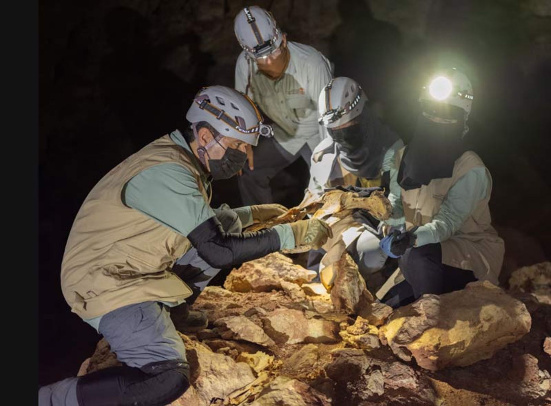 Researchers with helmets and headlamps examining the remains of a cheetah on the cave floor
