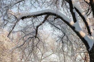 A snow house with a nostalgic look