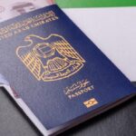 UAE green visa