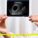 What are the symptoms of false pregnancy?